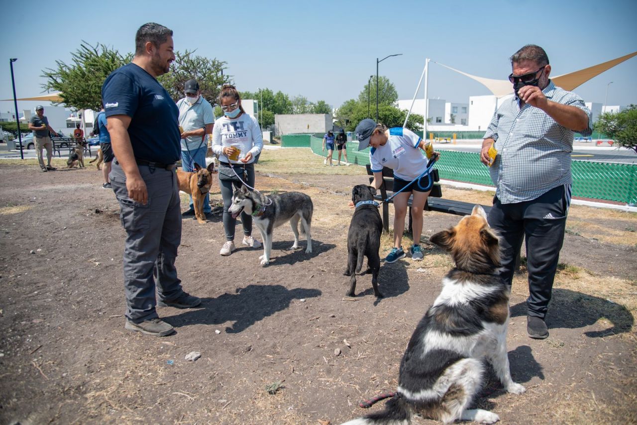 Pet care remains a priority at El Marqués – Update México