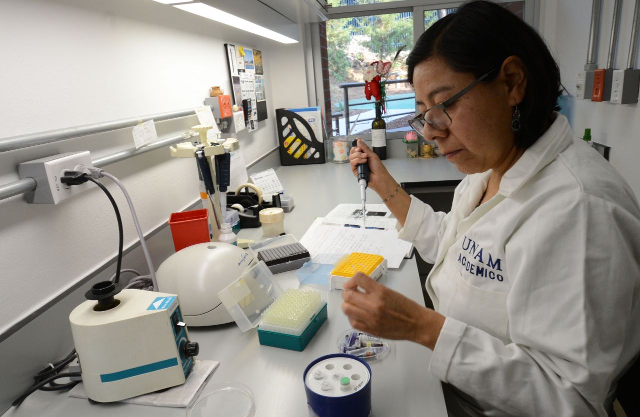 Científicos de la UNAM estudian virus para combatir bacterias resistentes a antibióticos